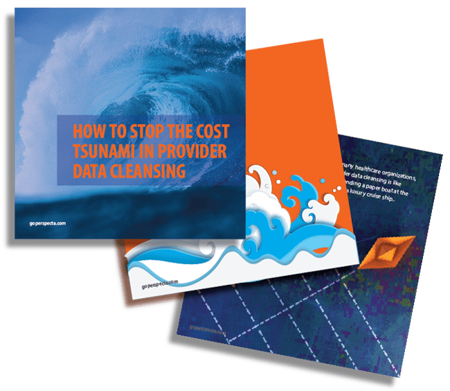 ebook-data-cleanse-graphic ebook-data-cleanse-graphic