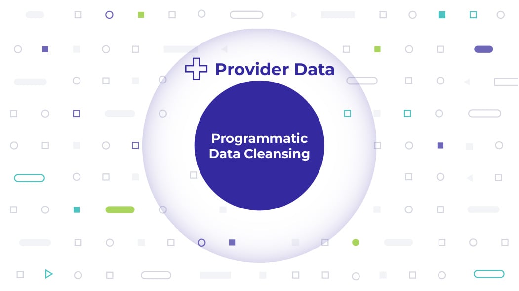 Provider Data Programmatic Data Cleansing case study cover image